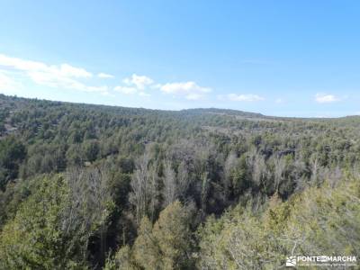 un bosque Jurásico - Sabinar y Cañón del río Caslilla; parque nacional de las islas atlanticas camin